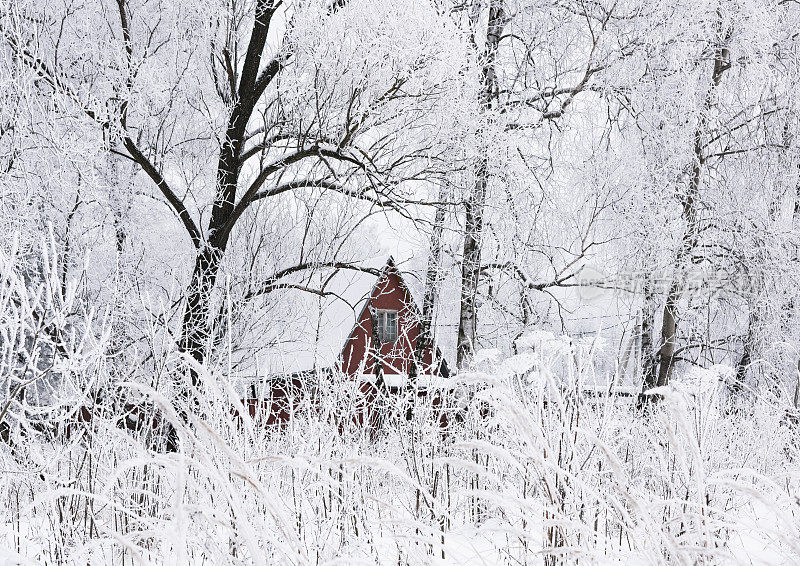 冬天森林白霜老房子