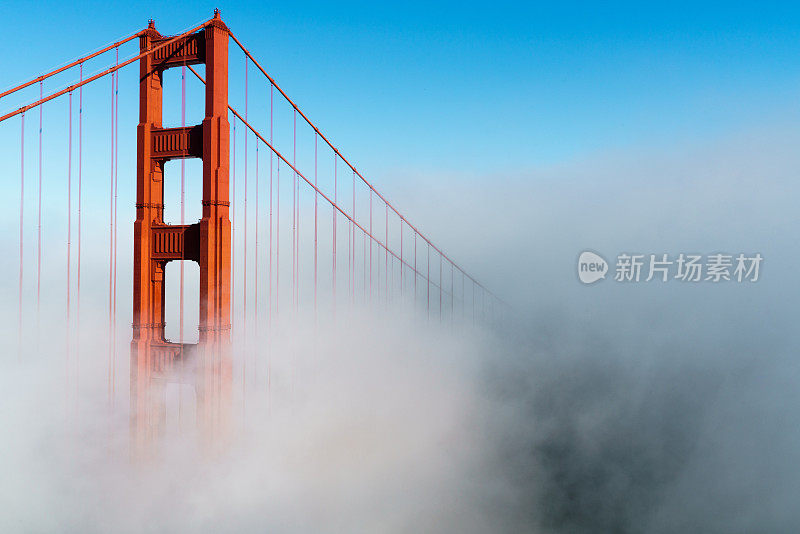 雾中的金门大桥