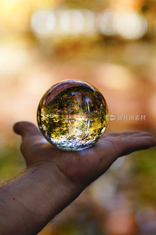 水晶球，美丽的加拿大秋天森林背景