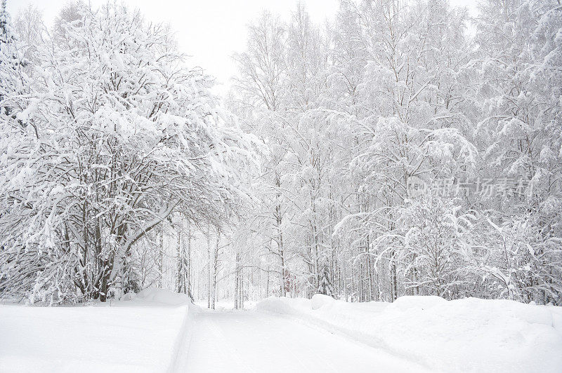 冰雪覆盖的道路穿过冬天的森林