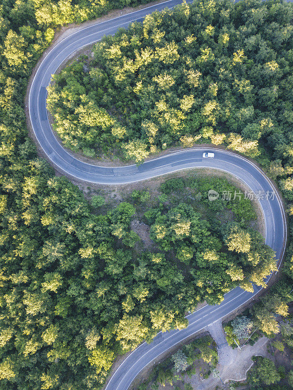 公路旅行通过森林-空中的观点