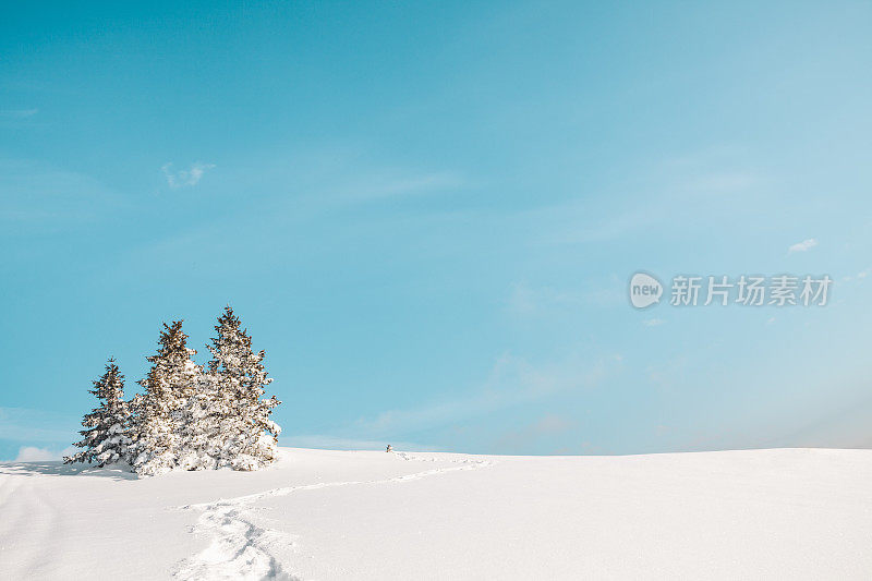 雪中的小径