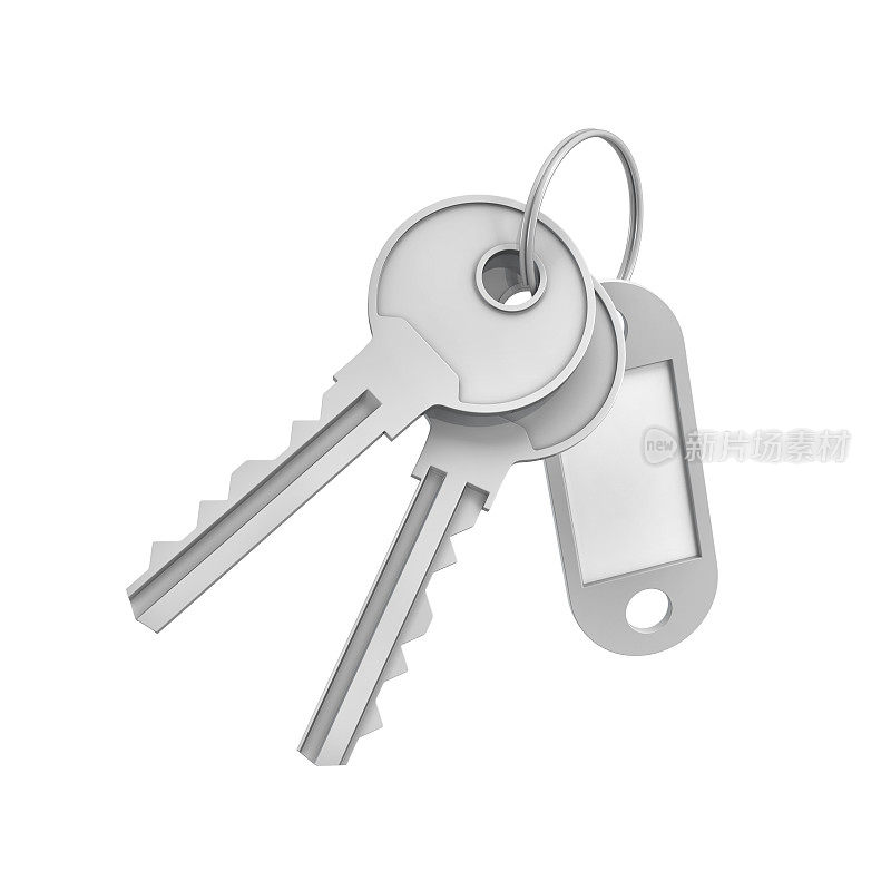 一个带空白标签的钥匙环上的两个孤立的银钥匙的3d渲染