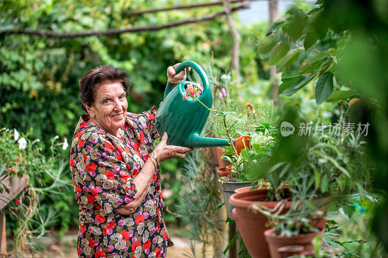 照顾鲜花的资深女性