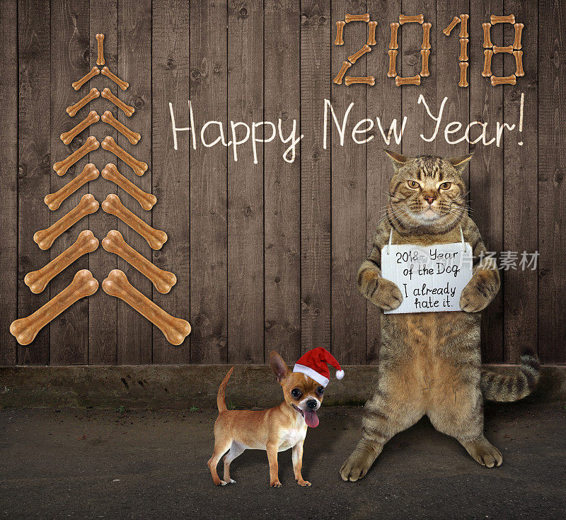 2018年狗和猫2