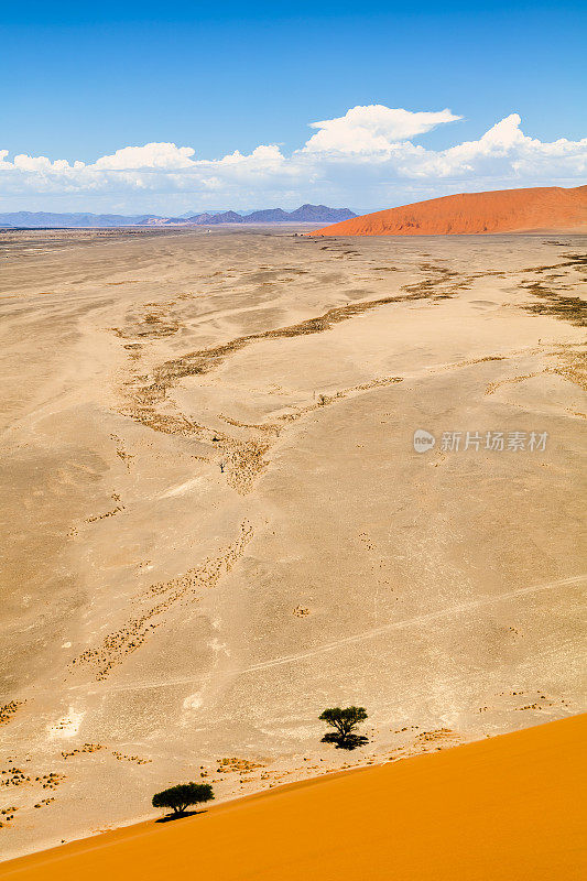 沙丘，Sossusvlei，纳米比亚，非洲