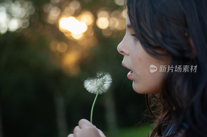 女孩在田野里吹蒲公英花