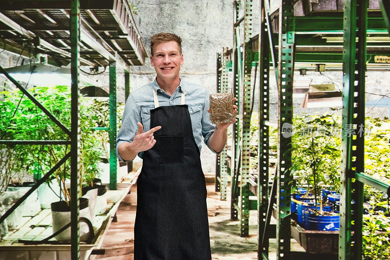 大麻店――一名男性工人正拿着大麻