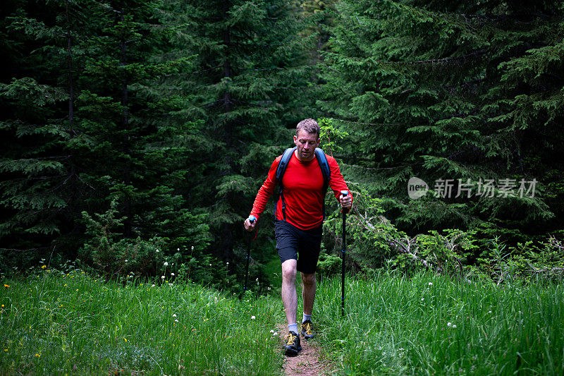 一个年轻人在森林深处徒步旅行