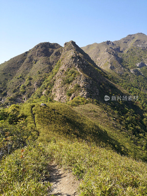 香港大屿山九桠岭