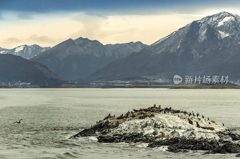 海狼岛，作为背景的乌斯怀亚市在安第斯山脉脚下，在比格尔海峡，火地岛，巴塔哥尼亚，阿根廷。