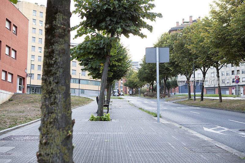 西班牙城市郊区，绿树成荫的人行道和一条安静的道路