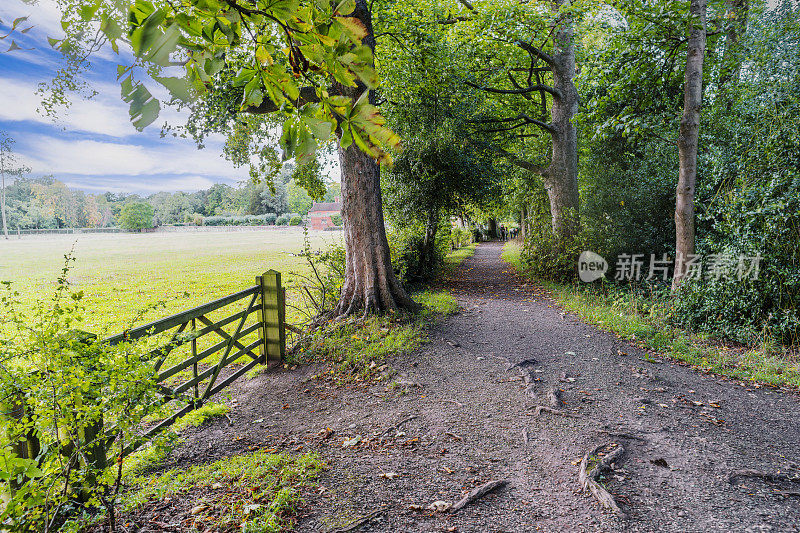 门，栅栏，台阶，步道，步行乡村，乡村，户外