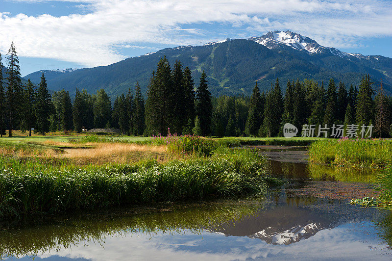 夏季惠斯勒山的景色