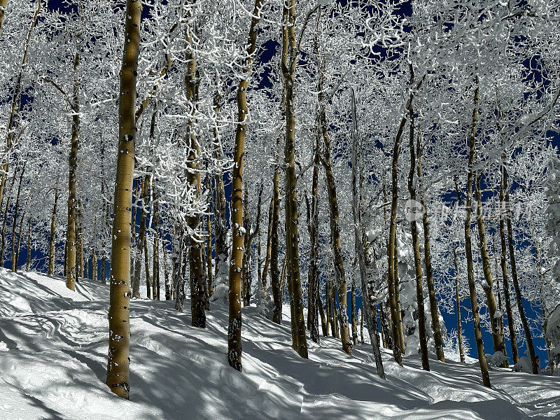 山上的雪