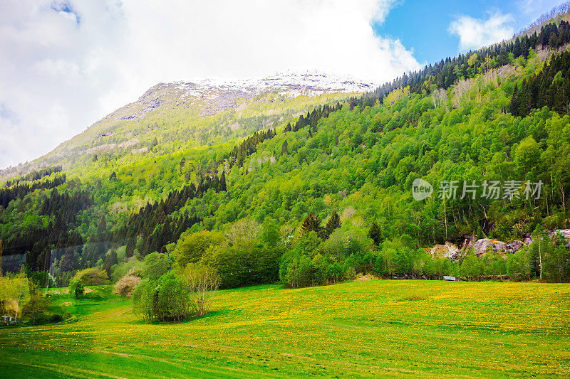 挪威的春天。景观。农场。