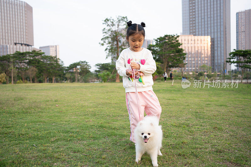 女孩和博美犬在草地上玩耍