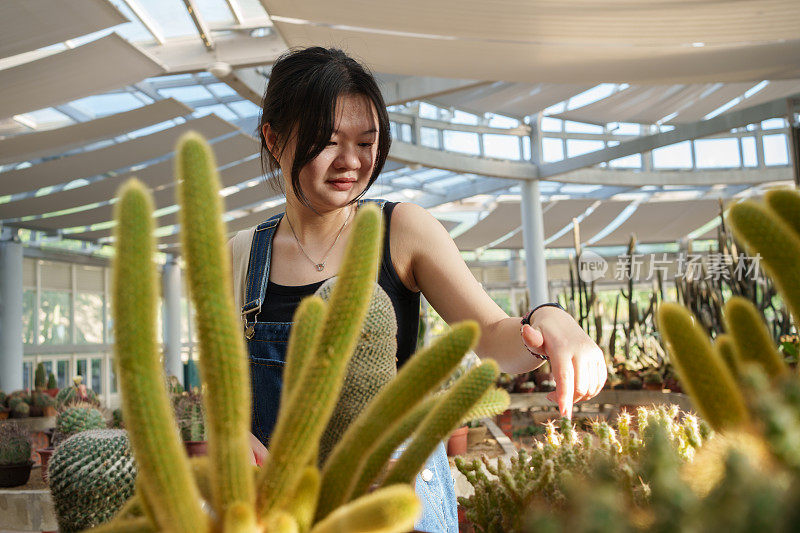 喜欢外来植物的女孩