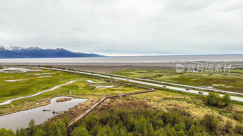 鸟类和湿地保护区——阿拉斯加安克雷奇附近的波特沼泽