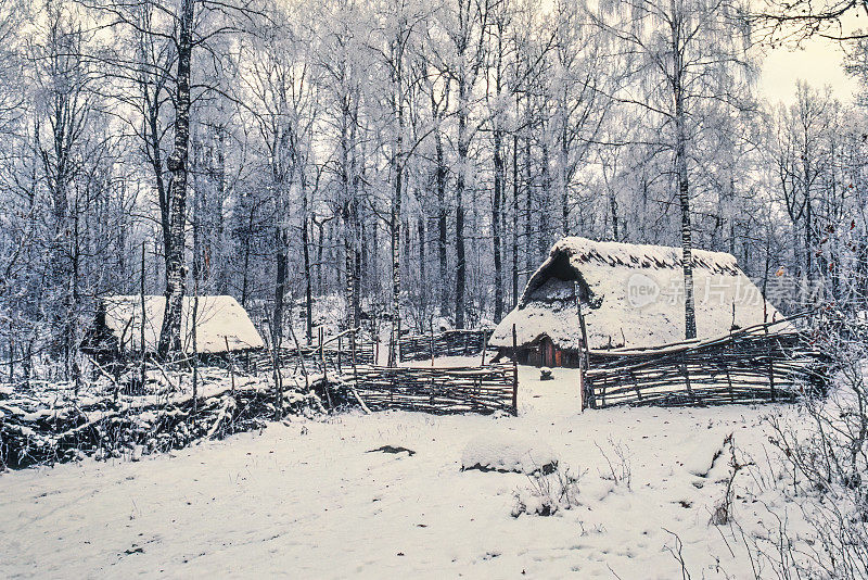 在冬天的森林里有一个石器时代的定居点