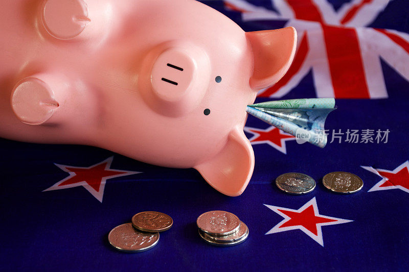 新西兰货币(NZD);旗帜上有一个储蓄罐的美元和硬币