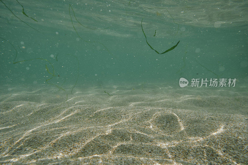 6月阳光明媚的一天，在康沃尔郡的佩顿温德海滩，浅浅的蓝色大海里，阳光在海床上荡漾。