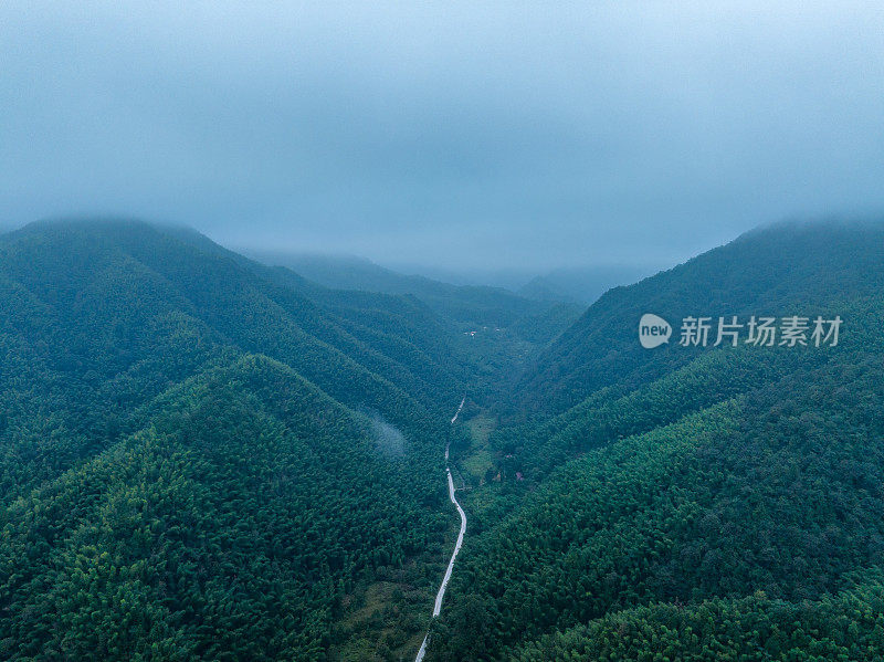 山路在山间