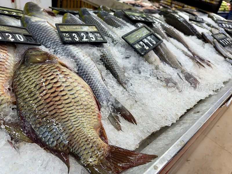 超市展示优质淡水鱼。超市展示，鱼柜台，杂货店购物，鲜鱼选择，鱼市场展示