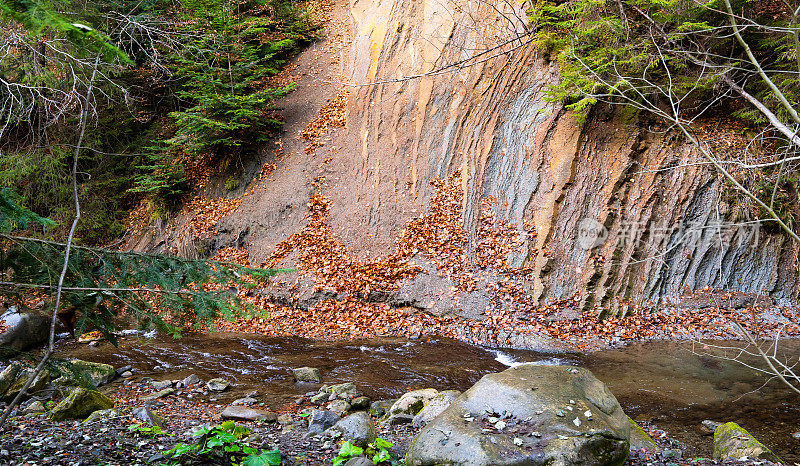 在乌克兰喀尔巴阡山脉的秋天森林里，一堵由裸露的岩石制成的墙。山区河流。远古的层层冷却的岩浆，美丽的天然未经处理的石头图案。有选择性的重点