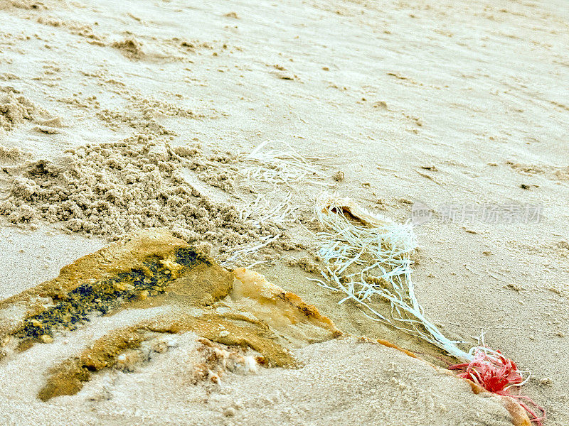 在海滩上发现了渔网