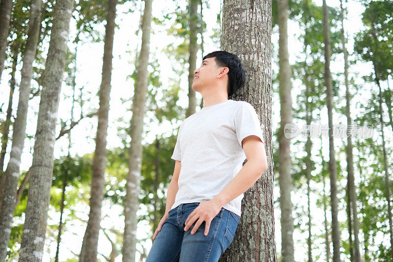 年轻的亚洲男人走进森林，抬头仰望，充满清新，靠在树上，感受自然，风，太阳，意识到自然的重要。