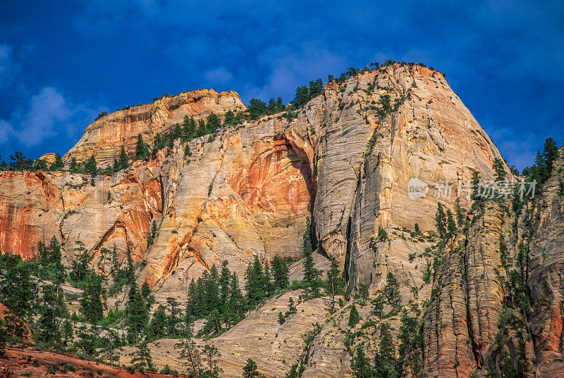 犹他州锡安国家公园山谷中纳瓦霍砂岩的白色大宝座。