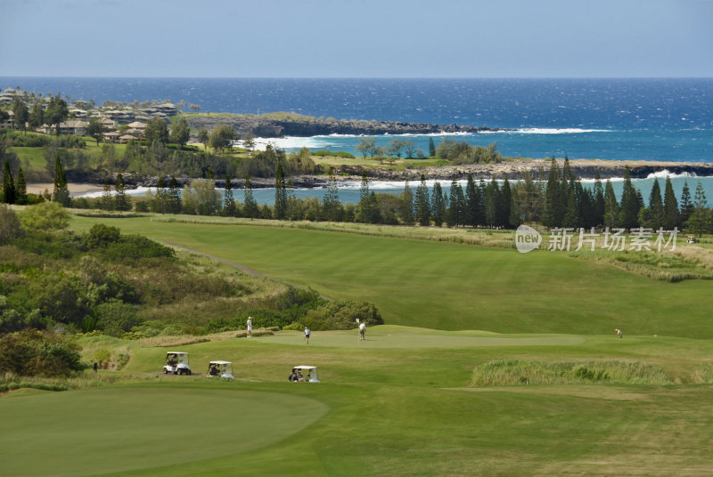 高尔夫球在毛伊岛