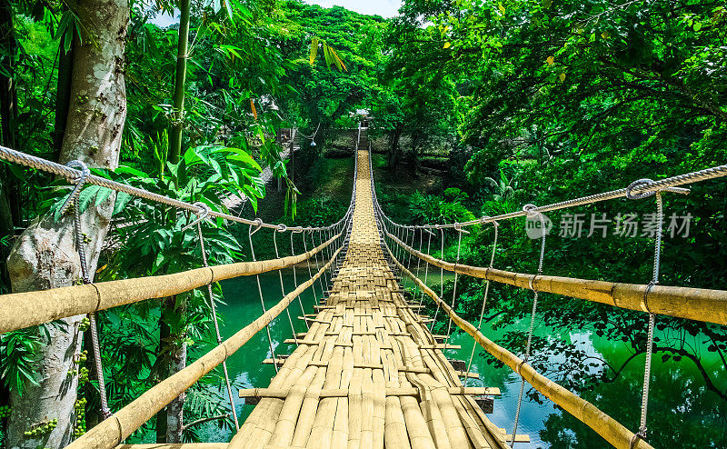 热带森林中，河上的竹桥