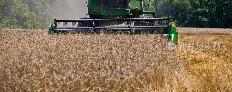 联合收割麦田的小麦