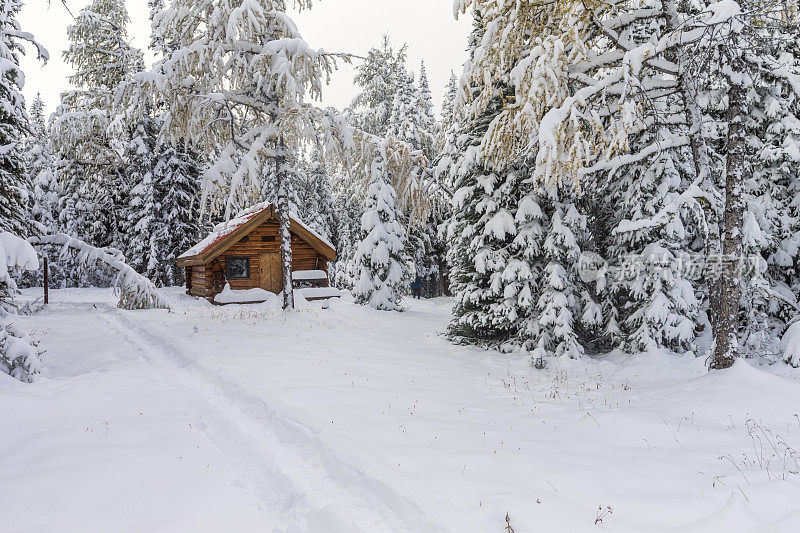 阿西尼博因山省公园的小屋和雪，加拿大。