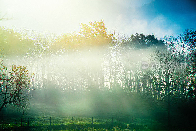 乡下有雾的早晨