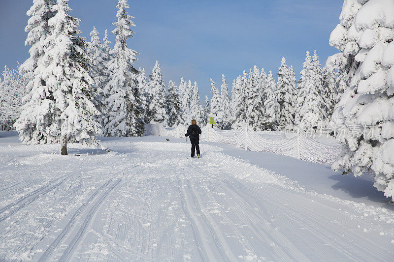 滑雪运动员在一个美丽的冬天....罗格拉，斯洛文尼亚