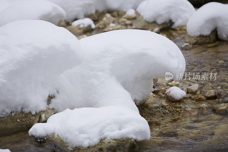 雪海豚