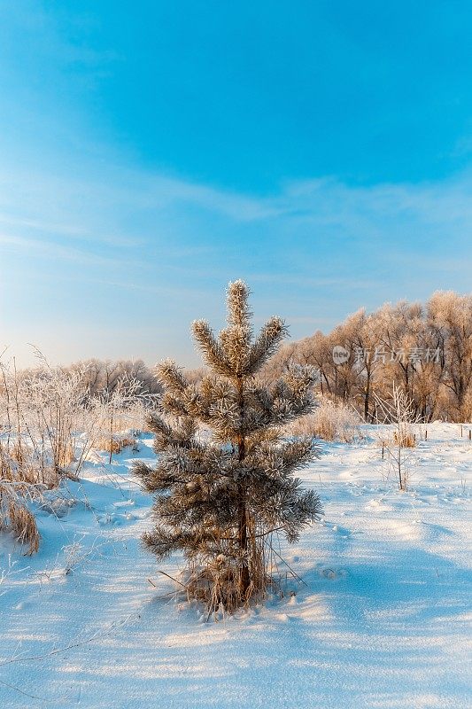 冬天的风景