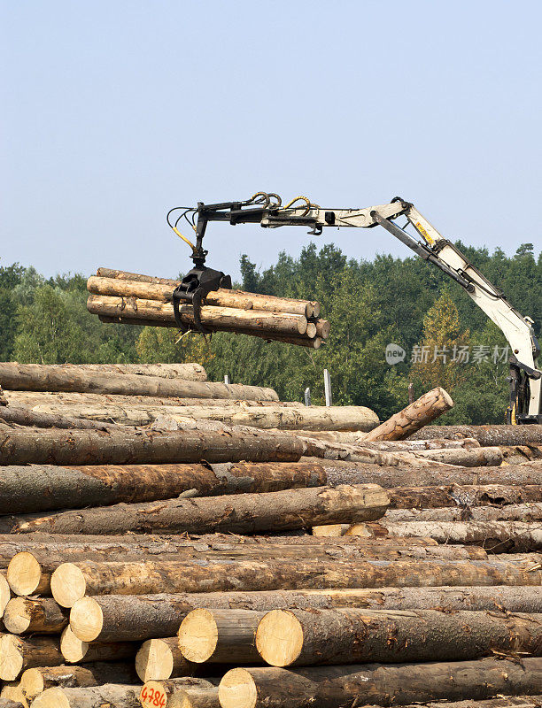 木材工业。木材装载起重机