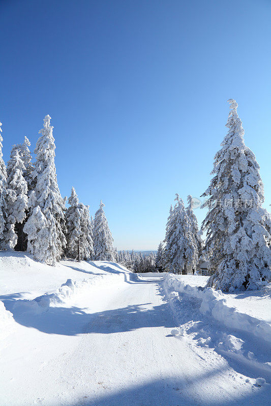 阳光winterday