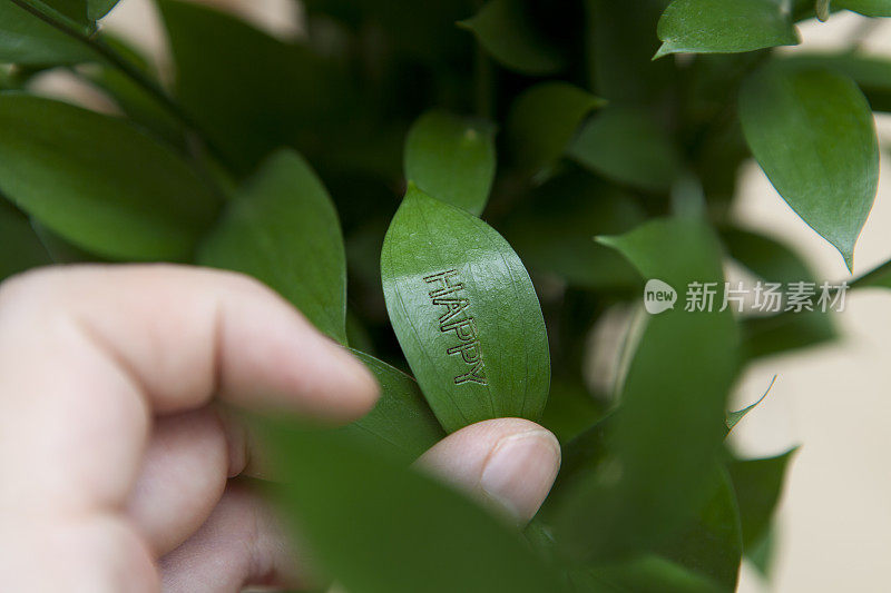 好快乐在平庸的生活中