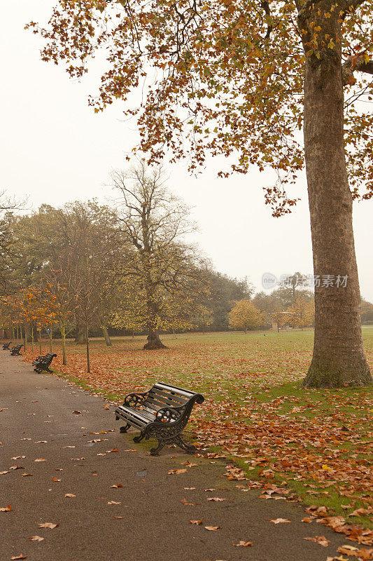 秋天，英国伦敦公园里空荡荡的长椅