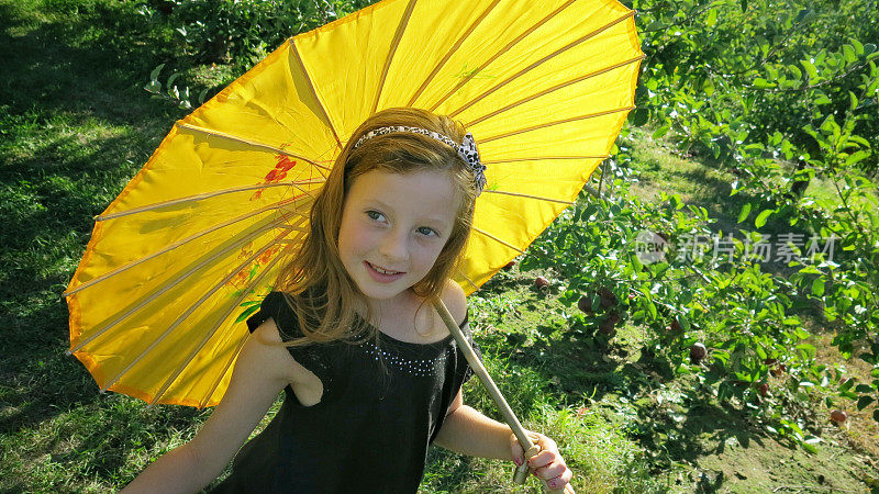 孩子拿着亚洲华人日本阳伞，阳光明媚，苹果园
