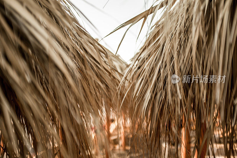 海滩小屋的日落景色