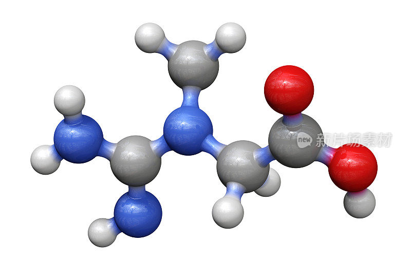 膳食补充剂肌酸的分子模型