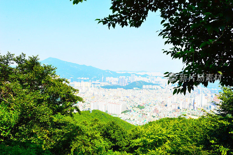 从锦莲山俯瞰釜山的全景