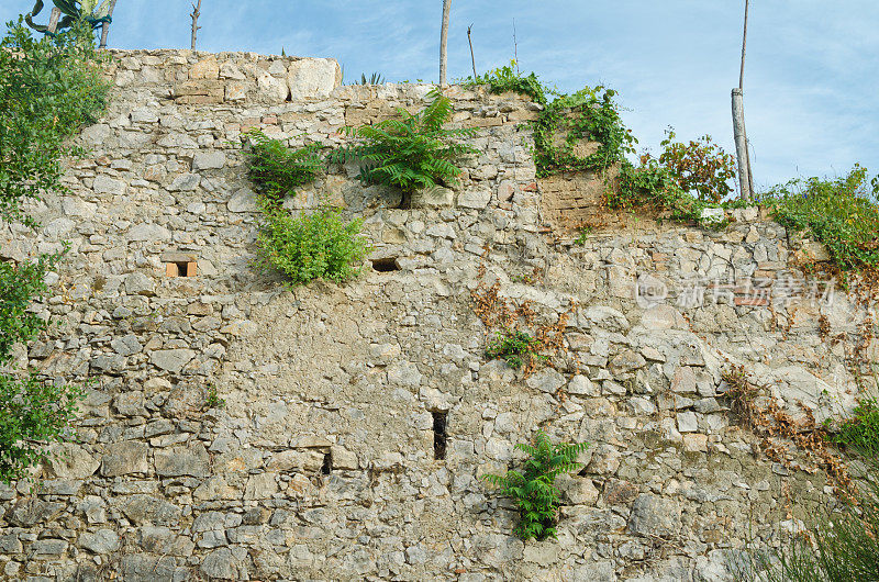 石墙，天空和攀缘植物