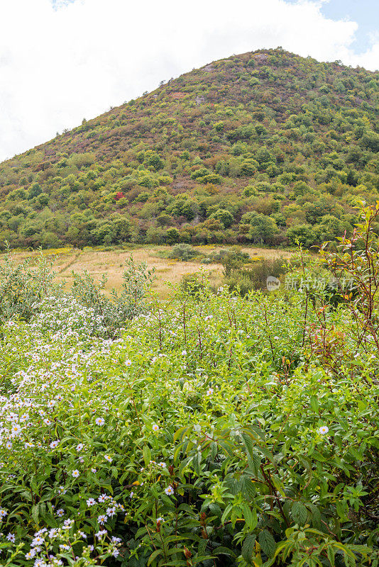 北卡罗莱纳州山区的初秋